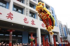 醒狮贺岁，半岛网站网页版页面登入-半岛online(中国)2019年开工大吉